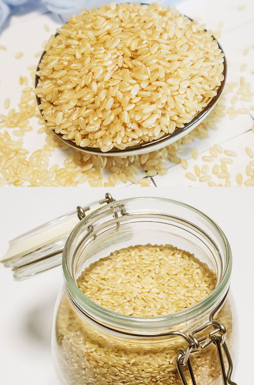 施為施恩施精品糙米 350g真空袋裝，健康粗糧新選擇